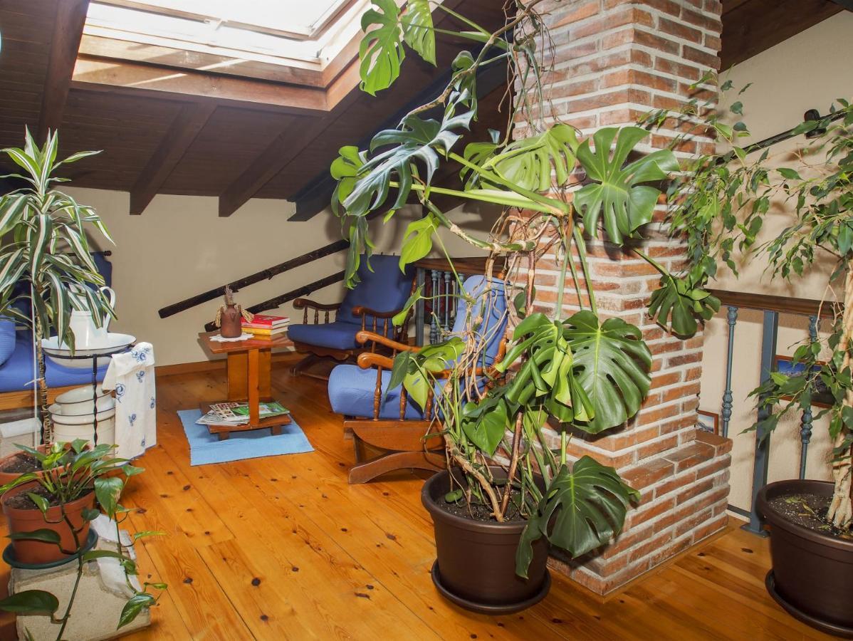 Casa De La Montana Albergue Turistico Avín Esterno foto
